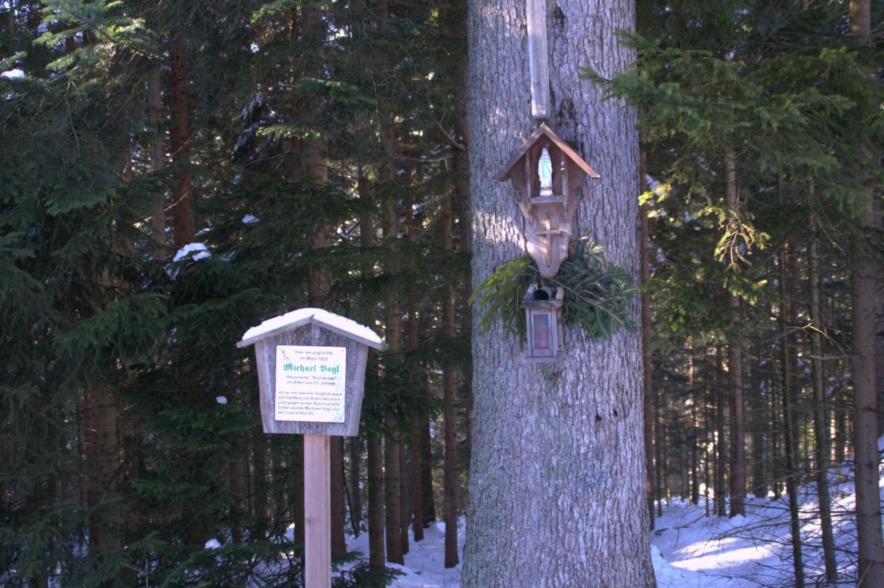 Erlebnispension Zum Wanderer Sepp Arnbruck Exterior foto